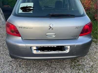 Peugeot 307 3.0L pack premium